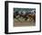 Race Horses in Action, Saratoga Springs, New York, USA-Lisa S^ Engelbrecht-Framed Photographic Print