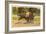 Race Horses, Saratoga Springs, New York-null-Framed Art Print