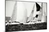 Race on the Chesapeake II-Alan Hausenflock-Mounted Photographic Print