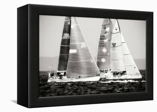 Race on the Chesapeake III-Alan Hausenflock-Framed Premier Image Canvas