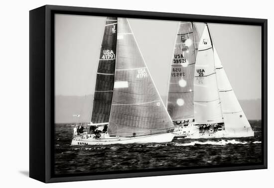 Race on the Chesapeake III-Alan Hausenflock-Framed Premier Image Canvas