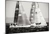 Race on the Chesapeake III-Alan Hausenflock-Mounted Photographic Print