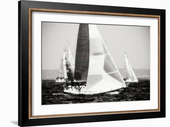 Race on the Chesapeake IV-Alan Hausenflock-Framed Photographic Print