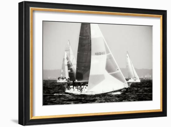 Race on the Chesapeake IV-Alan Hausenflock-Framed Photographic Print