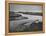 Race Point in Cape Cod-Eliot Elisofon-Framed Premier Image Canvas