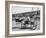 Racers During the Ostrich Racing, Grange County Fair-Loomis Dean-Framed Photographic Print