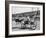 Racers During the Ostrich Racing, Grange County Fair-Loomis Dean-Framed Photographic Print