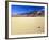 Racetrack and the Grandstand, Cottonwood Mountains, Death Valley National Park, CA-Bernard Friel-Framed Photographic Print