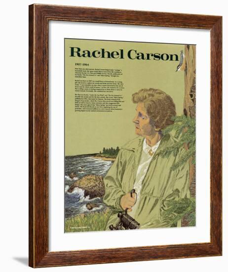 Rachel Carson-null-Framed Art Print