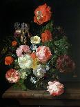 A Branch of Roses with Beetle and Bee, 1741-Rachel Ruysch-Giclee Print