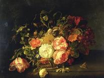 Still Life with Fruit, Flowers, Reptiles and Insects-Rachel Ruysch-Giclee Print