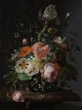 Still-life with Fruit and Insects-Rachel Ruysch-Framed Premier Image Canvas