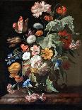Still-life with Fruit and Insects-Rachel Ruysch-Framed Giclee Print