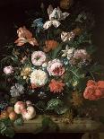 Still Life with Fruit, Flowers, Reptiles and Insects-Rachel Ruysch-Giclee Print