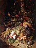 Still Life with Flowers and Butterfly-Rachel Ruysch-Giclee Print