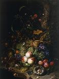 Still-Life with Flowers-Rachel Ruysch-Giclee Print