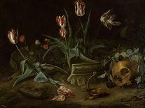 Still-life with Fruit and Insects-Rachel Ruysch-Giclee Print