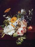 Still Life with Flowers and Butterfly-Rachel Ruysch-Giclee Print