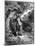 Racial, Dakota, Fuel 1853-Seth Eastman-Mounted Art Print