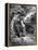 Racial, Dakota, Fuel 1853-Seth Eastman-Framed Stretched Canvas