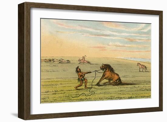 Racial, Wild Horse C1830-George Catlin-Framed Art Print