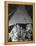 Racially Integrated Group of Boys Sharing a Comic Book at Camp Nathan Hale in Southfields, NY-Gordon Parks-Framed Stretched Canvas