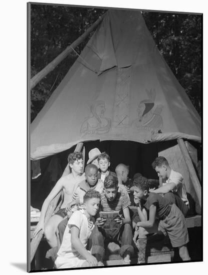 Racially Integrated Group of Boys Sharing a Comic Book at Camp Nathan Hale in Southfields, NY-Gordon Parks-Mounted Photo