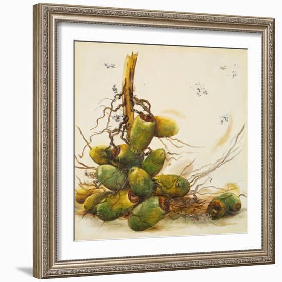 Racimo de Cocos I-Patricia Pinto-Framed Art Print