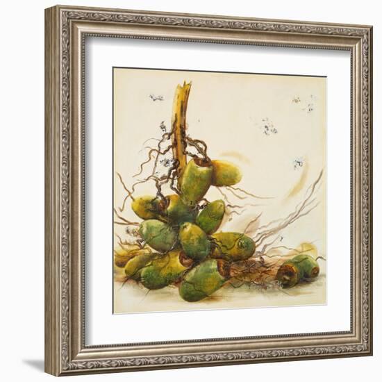 Racimo de Cocos I-Patricia Pinto-Framed Art Print