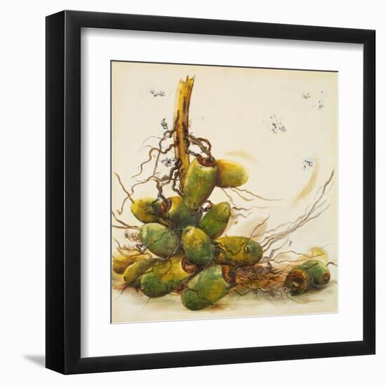 Racimo de Cocos I-Patricia Pinto-Framed Art Print