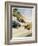 Racing Cars of 1926: Oddly One Car is Carrying Two People the Others Only One-Norman Reeve-Framed Photographic Print