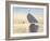 Racing Dhows-Edward Dawson-Framed Giclee Print