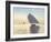 Racing Dhows-Edward Dawson-Framed Giclee Print