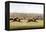 Racing Scene-Henry Thomas Alken-Framed Premier Image Canvas