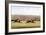 Racing Scene-Henry Thomas Alken-Framed Giclee Print