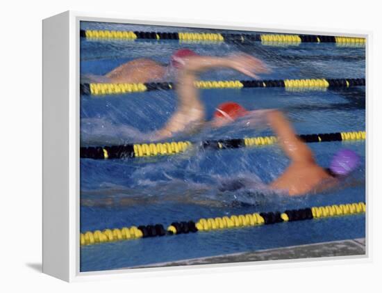 Racing Swimmers-null-Framed Premier Image Canvas