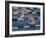 Racing Swimmers-null-Framed Photographic Print