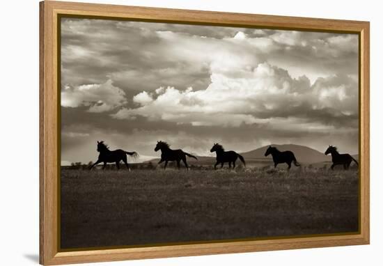 Racing the Clouds-Lisa Dearing-Framed Premier Image Canvas