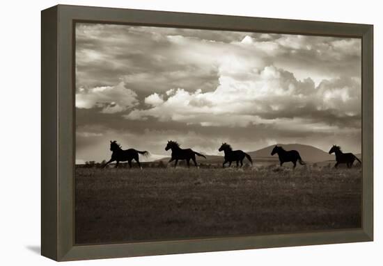 Racing the Clouds-Lisa Dearing-Framed Premier Image Canvas