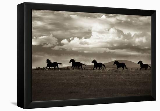 Racing the Clouds-Lisa Dearing-Framed Premier Image Canvas