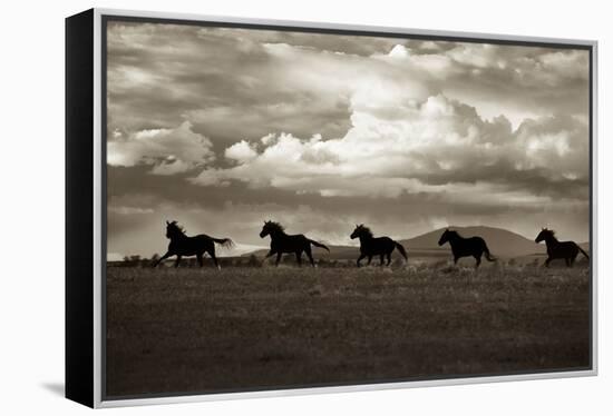 Racing the Clouds-Lisa Dearing-Framed Premier Image Canvas