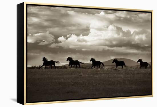 Racing the Clouds-Lisa Dearing-Framed Premier Image Canvas