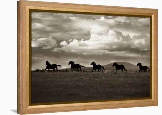 Racing the Clouds-Lisa Dearing-Framed Premier Image Canvas