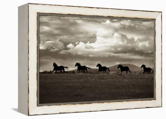 Racing the Clouds-Lisa Dearing-Framed Premier Image Canvas