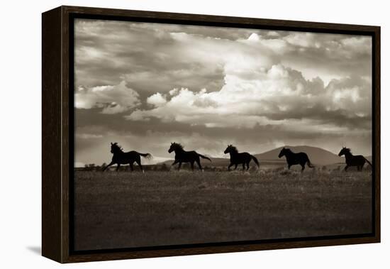 Racing the Clouds-Lisa Dearing-Framed Premier Image Canvas