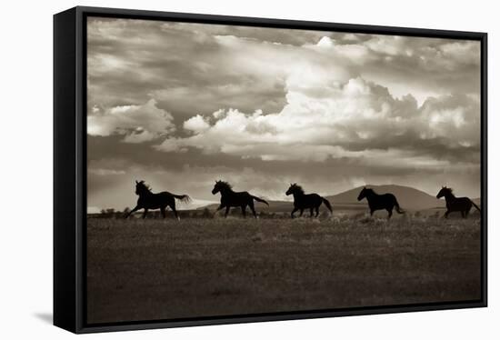 Racing the Clouds-Lisa Dearing-Framed Stretched Canvas