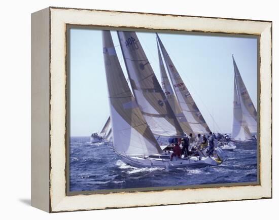 Racing Yachts Newport Rhode Island, USA-null-Framed Premier Image Canvas