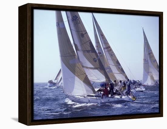 Racing Yachts Newport Rhode Island, USA-null-Framed Premier Image Canvas