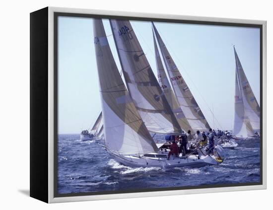 Racing Yachts Newport Rhode Island, USA-null-Framed Premier Image Canvas