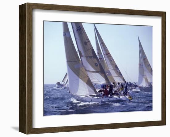 Racing Yachts Newport Rhode Island, USA-null-Framed Photographic Print